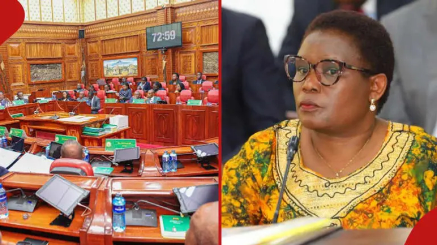 Why Kawira Might Survive Third Impeachment Motion in the Senate