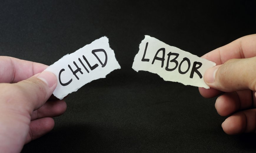 The Curious Case of the Missing Childhood: How Child Labor Steals Dreams