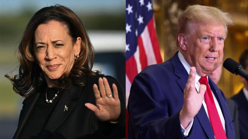 Kamala Harris vs. Donald Trump: Who Was the Bigger Liar in the First 2024 Debate