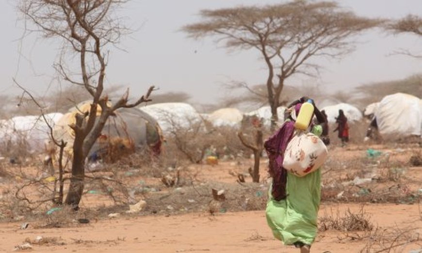 A South Sudanese Murder Triggers Chaos in Kenya Refugee Camp