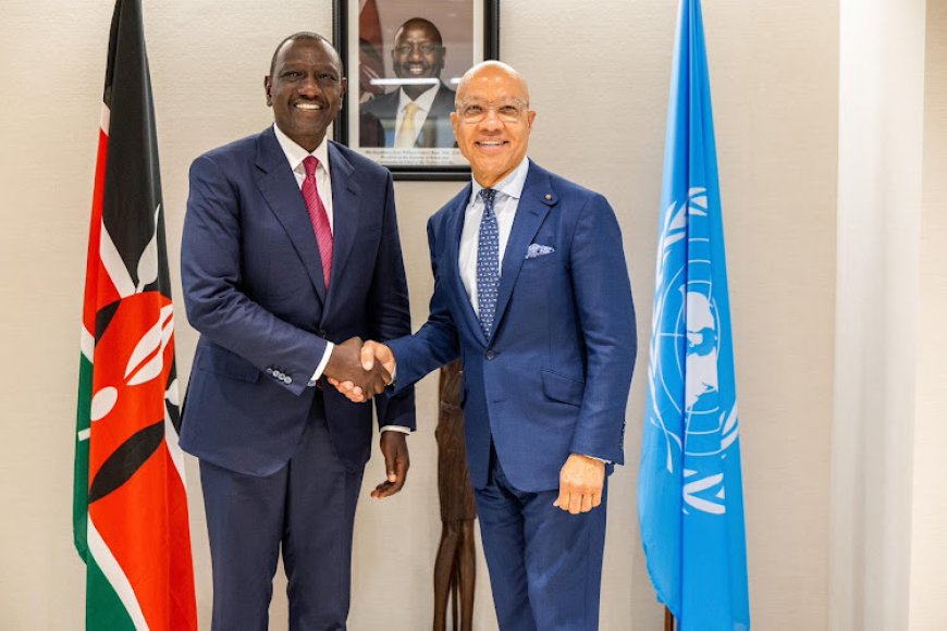 President Ruto Meets Ford Foundation's Darren Walker Amid Past Allegations of Funding Protests